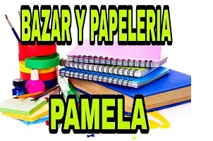 PAMELA